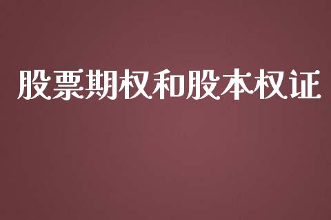 股票期权和股本权证_https://www.apanben.com_期货学院_第1张