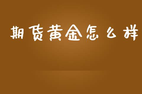 期货黄金怎么样_https://www.apanben.com_期货学院_第1张