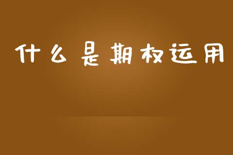 什么是期权运用_https://www.apanben.com_在线喊单_第1张