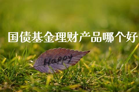 国债基金理财产品哪个好_https://www.apanben.com_国际财经_第1张