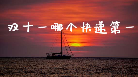 双十一哪个快递第一_https://www.apanben.com_期货学院_第1张