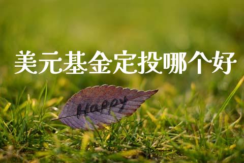 美元基金定投哪个好_https://www.apanben.com_期货学院_第1张