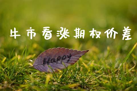 牛市看涨期权价差_https://www.apanben.com_国际财经_第1张