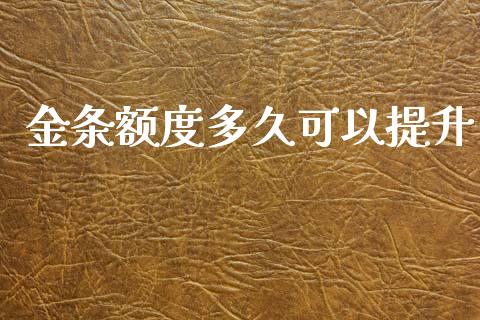 金条额度多久可以提升_https://www.apanben.com_股票怎么玩_第1张