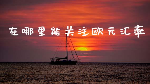 在哪里能关注欧元汇率_https://www.apanben.com_股票怎么玩_第1张