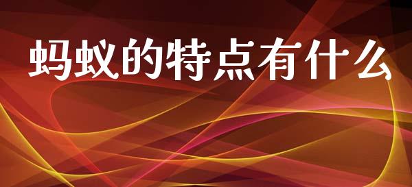 蚂蚁的特点有什么_https://www.apanben.com_股市分析_第1张