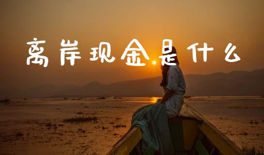 离岸现金是什么_https://www.apanben.com_期货学院_第1张