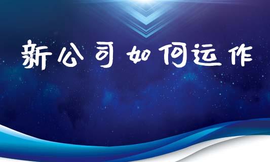 新公司如何运作_https://www.apanben.com_股票怎么玩_第1张