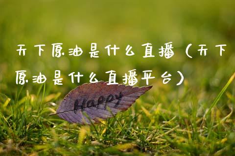 天下原油是什么直播（天下原油是什么直播平台）_https://www.apanben.com_在线喊单_第1张