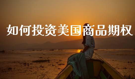 如何投资美国商品期权_https://www.apanben.com_股票怎么玩_第1张