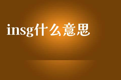 insg什么意思_https://www.apanben.com_国际期货_第1张
