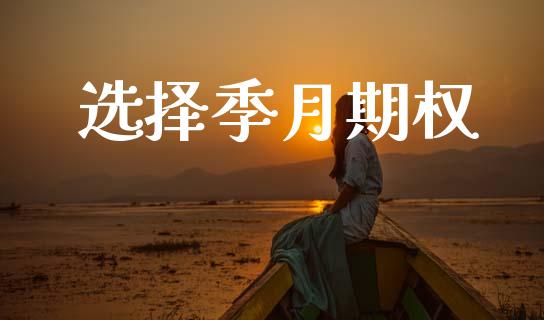 选择季月期权_https://www.apanben.com_股市指导_第1张