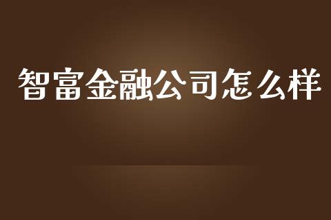 智富金融公司怎么样_https://www.apanben.com_股市指导_第1张