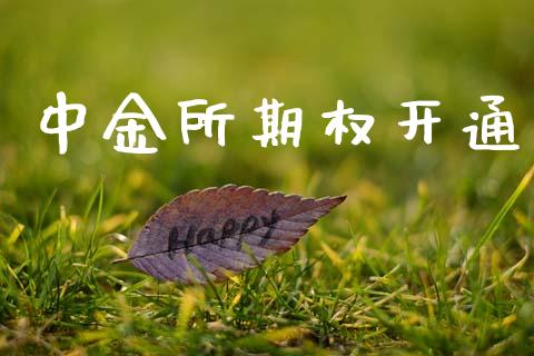 中金所期权开通_https://www.apanben.com_股票怎么玩_第1张
