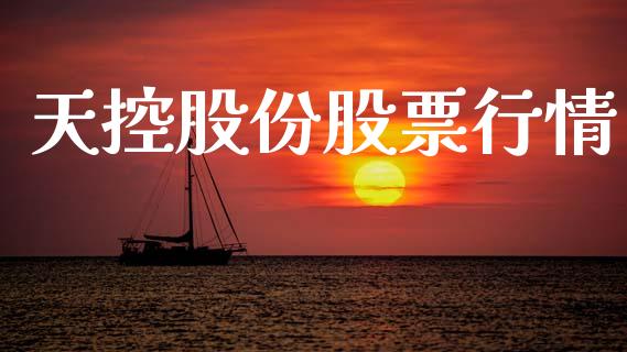 天控股份股票行情_https://www.apanben.com_股市指导_第1张