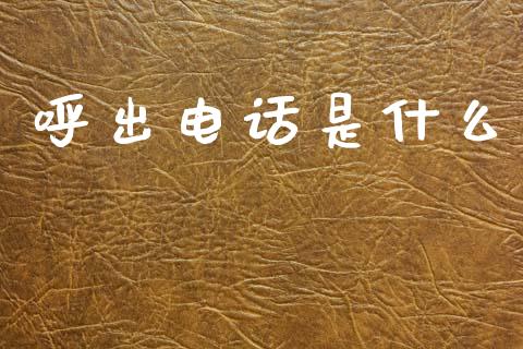 呼出电话是什么_https://www.apanben.com_股市分析_第1张