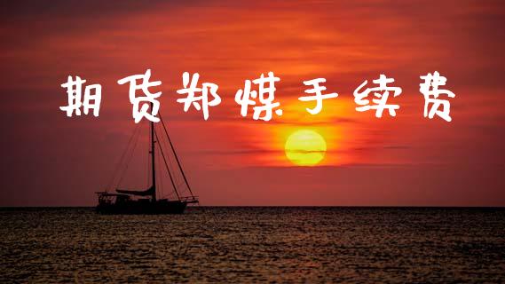 期货郑煤手续费_https://www.apanben.com_国际财经_第1张