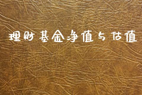 理财基金净值与估值_https://www.apanben.com_国际财经_第1张
