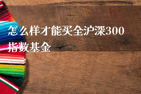 怎么样才能买全沪深300指数基金_https://www.apanben.com_股票怎么玩_第1张