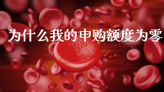 为什么我的申购额度为零_https://www.apanben.com_期货学院_第1张