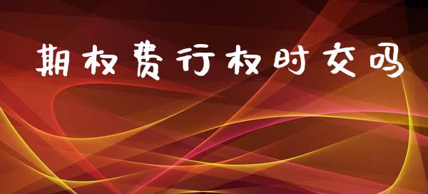 期权费行权时交吗_https://www.apanben.com_国际期货_第1张