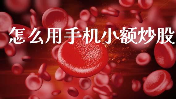 怎么用手机小额炒股_https://www.apanben.com_期货学院_第1张