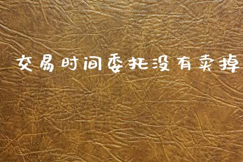 交易时间委托没有卖掉_https://www.apanben.com_国际财经_第1张