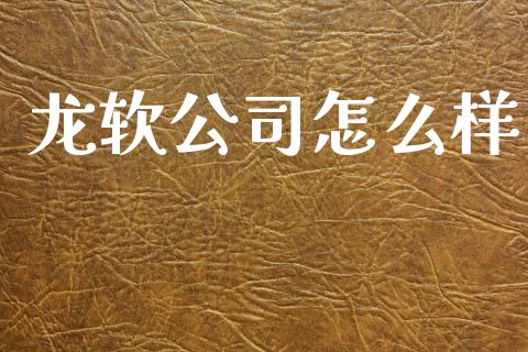龙软公司怎么样_https://www.apanben.com_国际期货_第1张