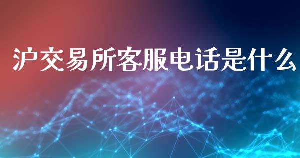 沪交易所客服电话是什么_https://www.apanben.com_股市分析_第1张