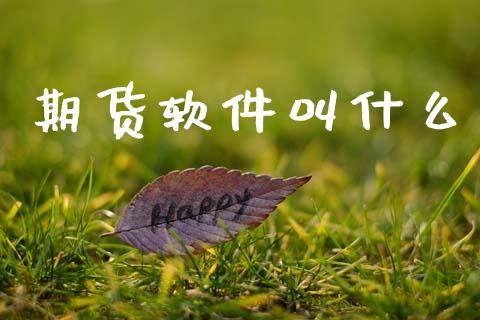 期货软件叫什么_https://www.apanben.com_国际财经_第1张