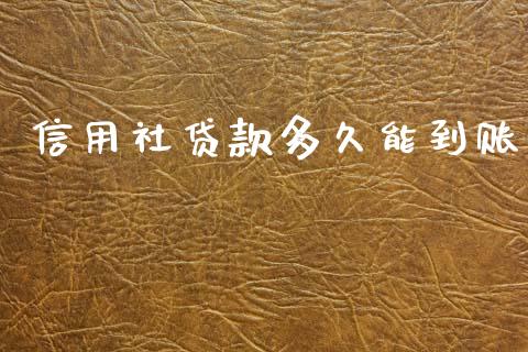 信用社贷款多久能到账_https://www.apanben.com_财经资讯_第1张