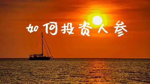 如何投资人参_https://www.apanben.com_国际财经_第1张