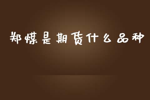 郑煤是期货什么品种_https://www.apanben.com_国际期货_第1张