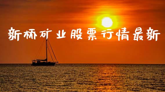 新桥矿业股票行情最新_https://www.apanben.com_股票怎么玩_第1张