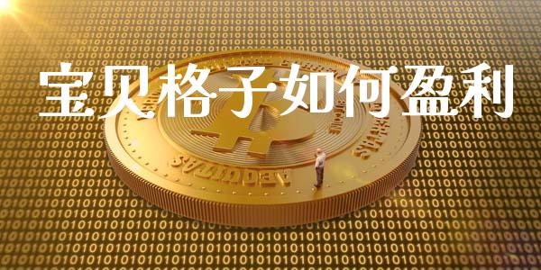 宝贝格子如何盈利_https://www.apanben.com_股市指导_第1张