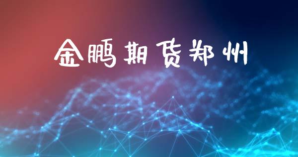 金鹏期货郑州_https://www.apanben.com_期货学院_第1张