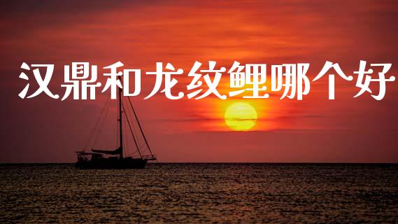 汉鼎和龙纹鲤哪个好_https://www.apanben.com_股市指导_第1张