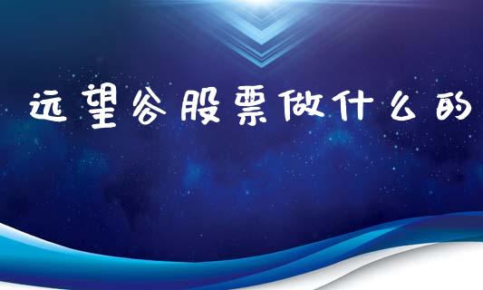 远望谷股票做什么的_https://www.apanben.com_国际期货_第1张