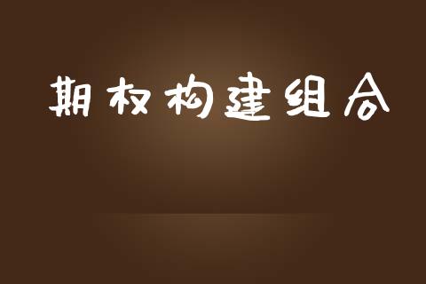 期权构建组合_https://www.apanben.com_期货学院_第1张