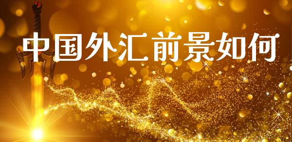 中国外汇前景如何_https://www.apanben.com_股市指导_第1张