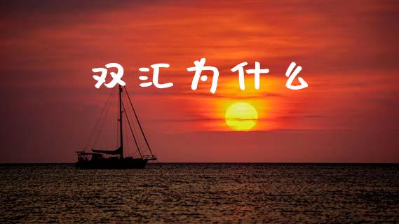 双汇为什么_https://www.apanben.com_财经资讯_第1张