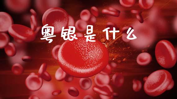 粤银是什么_https://www.apanben.com_国际期货_第1张