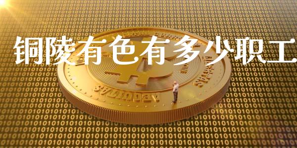 铜陵有色有多少职工_https://www.apanben.com_股票怎么玩_第1张