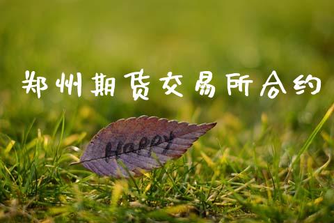郑州期货交易所合约_https://www.apanben.com_财经资讯_第1张