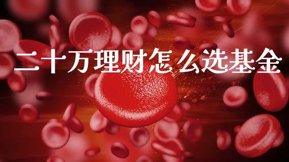 二十万理财怎么选基金_https://www.apanben.com_国际财经_第1张