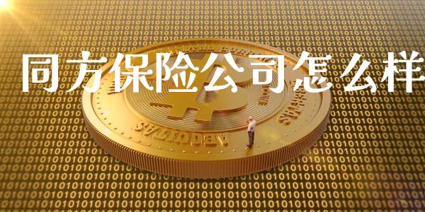 同方保险公司怎么样_https://www.apanben.com_财经资讯_第1张