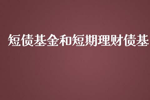 短债基金和短期理财债基_https://www.apanben.com_财经资讯_第1张