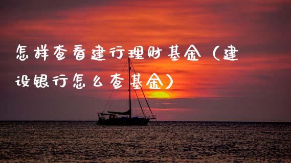 怎样查看建行理财基金（建设银行怎么查基金）_https://www.apanben.com_国际财经_第1张
