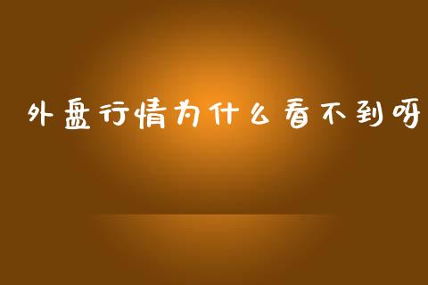 外盘行情为什么看不到呀_https://www.apanben.com_股市分析_第1张