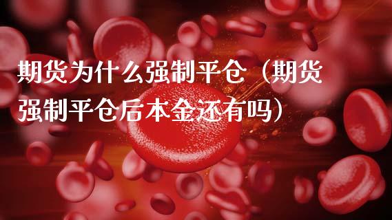 期货为什么强制平仓（期货强制平仓后本金还有吗）_https://www.apanben.com_期货学院_第1张